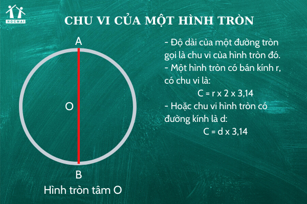 Diện tích hình tròn tính sao? cách tính Đúng nhất