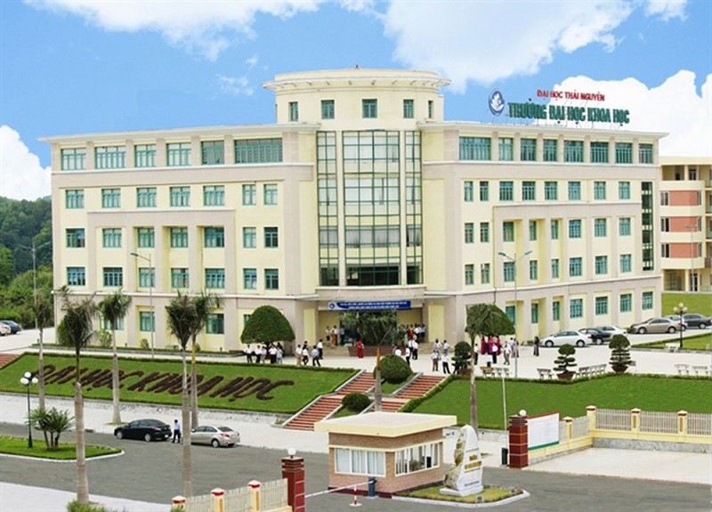 Học văn ra làm nghề gì? khám phá cơ hội nghề nghiệp cho người yêu thích văn học