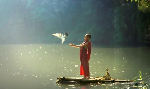 Hướng dẫn tích Âm Đức - con Đường Đến phúc báo