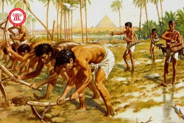 Lịch sử xã hội là gì? khám phá lĩnh vực nghiên cứu con người trong quá khứ