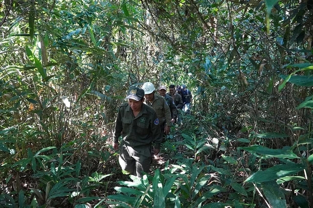 Phân tích người ở rừng mang vết suối, vết cây, tiết lộ những đặc điểm ẩn chứa trong tự nhiên