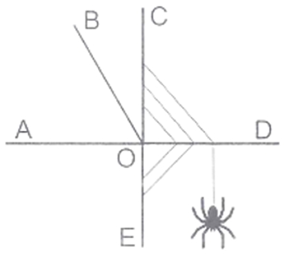 Sách toán lớp 4 bài 35 ôn tập hình học